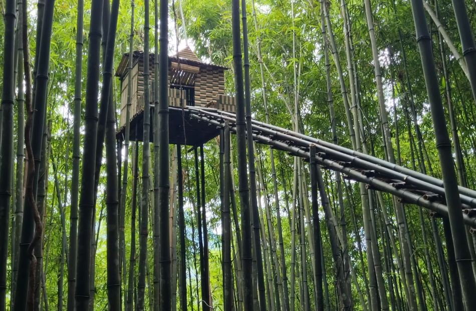 竹林别墅
