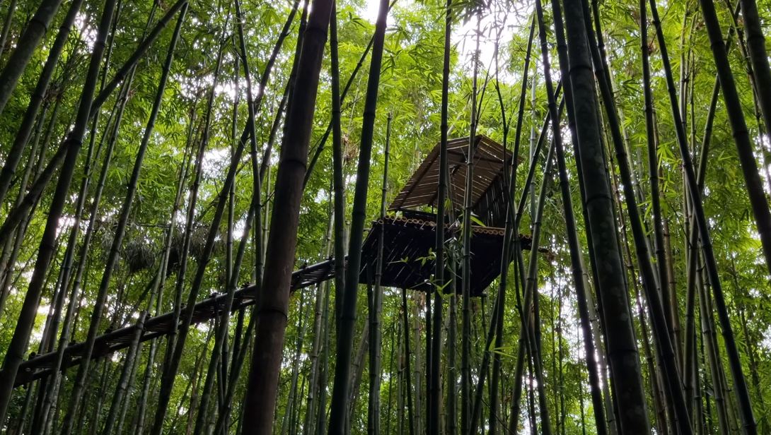 竹林别墅