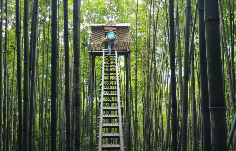 竹林别墅