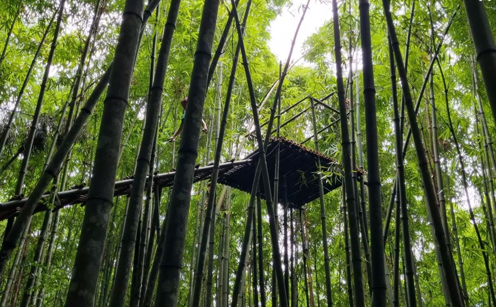 竹林别墅