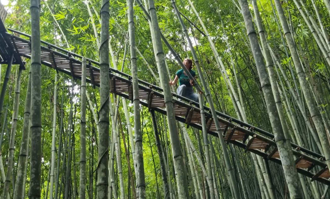 竹子别墅