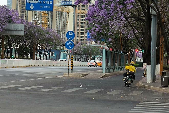 国际货币基金组织