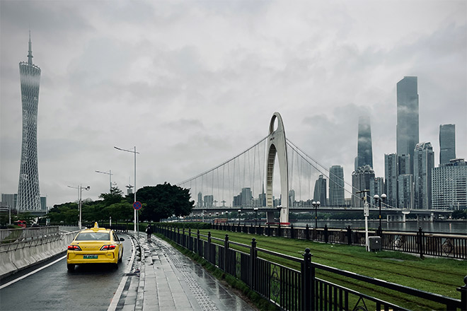 爱情是什么