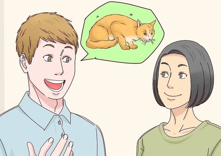 流浪猫