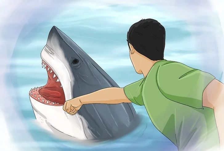 人与自然